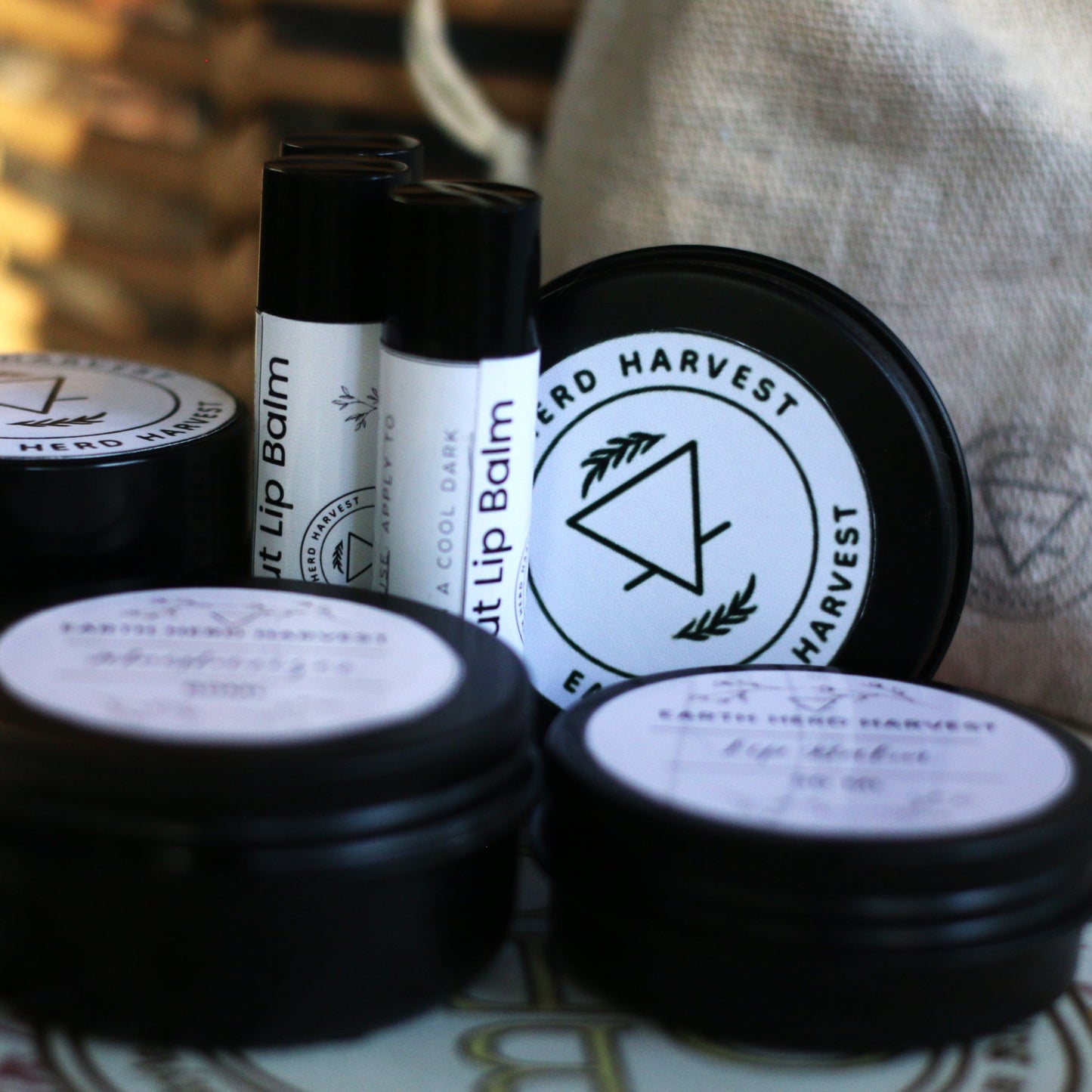 Begin Anywhere - Tallow Bundle