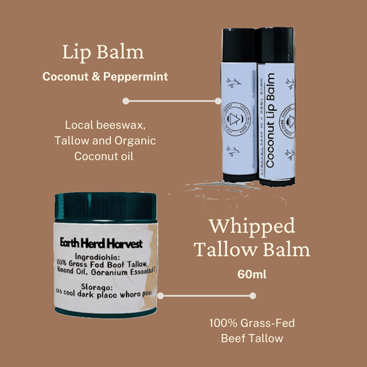 Tallow Glow Ritual